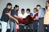 Raja Rani Telugu Audio Launch