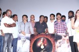 Salim Audio Launch