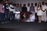 Salim Audio Launch