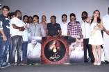 Salim Audio Launch