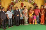 Thambi Ramaiah Daughter Wedding Reception