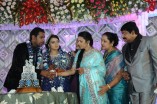 Actress TR Omana Grand Daughter Wedding