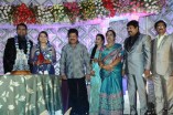 Actress TR Omana Grand Daughter Wedding