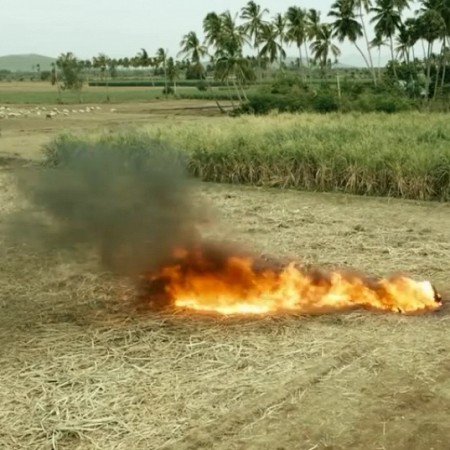 The Paddy Field Burning