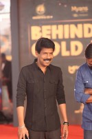 Behindwoods Gold Medals 2017 - The Red Carpet Set 2