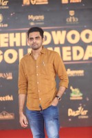 Behindwoods Gold Medals 2017 - The Red Carpet Set 2