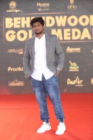 Behindwoods Gold Medals 2017 - The Red Carpet Set 2