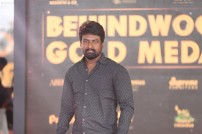 Behindwoods Gold Medals 2017 - The Red Carpet Set 2