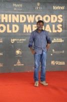 Behindwoods Gold Medals 2017 - The Red Carpet