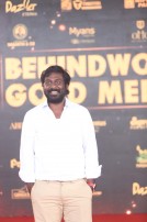 Behindwoods Gold Medals 2017 - The Red Carpet