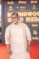 Behindwoods Gold Medals 2017 - The Red Carpet