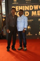 Behindwoods Gold Medals 2017 - The Red Carpet