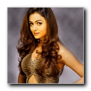 Amrita Arora Actress Gallery