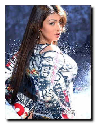 Ayesha Takia Actress Gallery