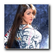 Ayesha Takia Actress Gallery