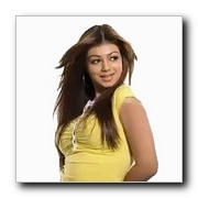 Ayesha Takia Actress Gallery