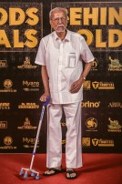 Behindwoods Gold Medals 2017 - The Elite Winners