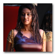 Sneha