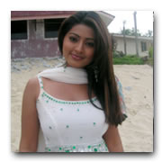 Sneha