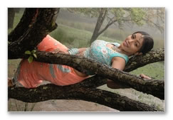 Kodaikanal Movie Gallery