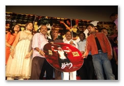 Durai Audio Launch - Images