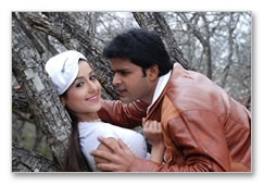 Anthony Yaar Movie - Images