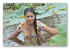 Dindigul Sarathy Movie - Images