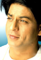 hindi cinema movies news sharukhkhan