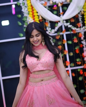 Adah Sharma (aka) Adah