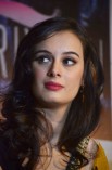 Evelyn Sharma (aka) EvelynSharma