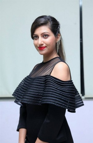 Hamsa Nandini (aka) Hamsa Nandhini