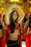 Ileana (aka) Ileana D'Cruz