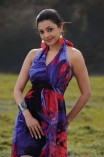 Kajal Aggarwal (aka) Kajal Agarwal