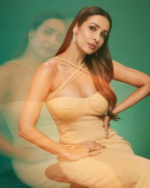 Malaika Arora Khan (aka) Malaika