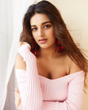 Nidhhi Agerwal (aka) NidhhiAgerwal