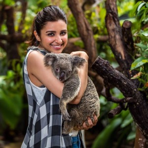 Parineeti Chopra (aka) ParineetiChopra