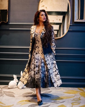 Priyanka Chopra (aka) Priyankachopra