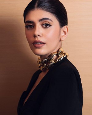 Sanjana Sanghi (aka) Sanjanaa Sanghi