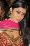 Shriya Saran (aka) Actress Shriya