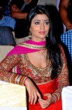 Shriya Saran (aka) Actress Shriya