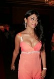 Shriya Saran (aka) Actress Shriya