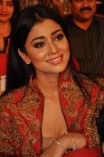 Shriya Saran (aka) Actress Shriya