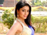 Shriya Saran (aka) Actress Shriya