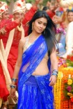 Shriya Saran (aka) Actress Shriya