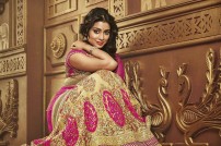 Shriya Saran (aka) Actress Shriya