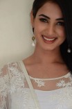 Sonal Chauhan (aka) SonalChauhan