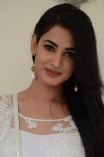 Sonal Chauhan (aka) SonalChauhan