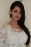 Sonal Chauhan (aka) SonalChauhan