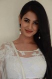 Sonal Chauhan (aka) SonalChauhan