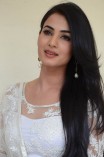 Sonal Chauhan (aka) SonalChauhan